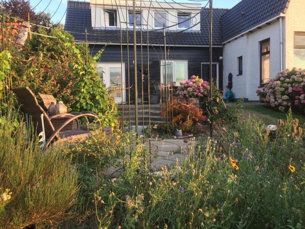 T Huuske Tuinappartement Met Fantastisch Uitzicht, Nabij Zee Zonnemaire Extérieur photo