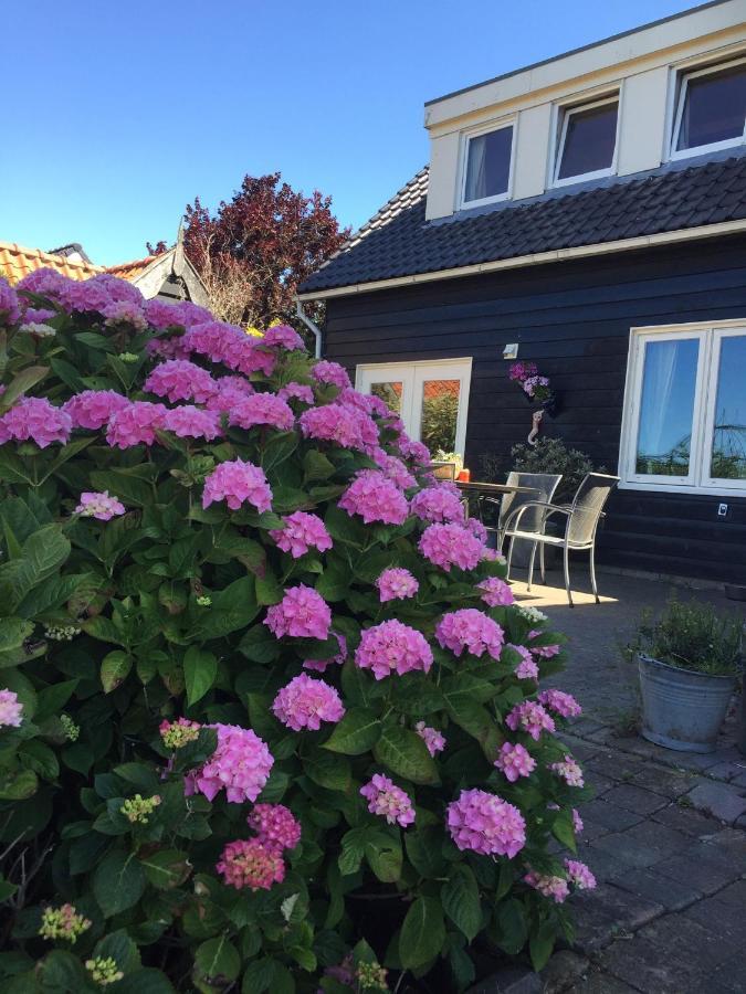 T Huuske Tuinappartement Met Fantastisch Uitzicht, Nabij Zee Zonnemaire Extérieur photo