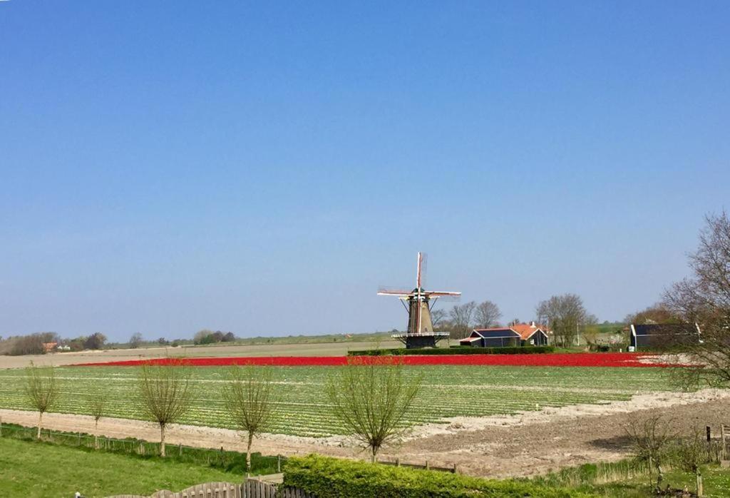 T Huuske Tuinappartement Met Fantastisch Uitzicht, Nabij Zee Zonnemaire Extérieur photo