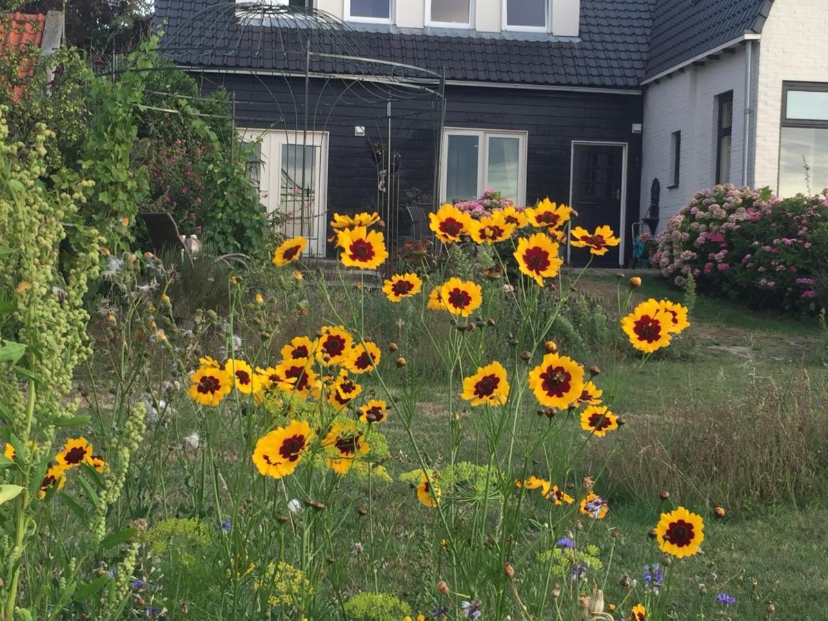 T Huuske Tuinappartement Met Fantastisch Uitzicht, Nabij Zee Zonnemaire Extérieur photo
