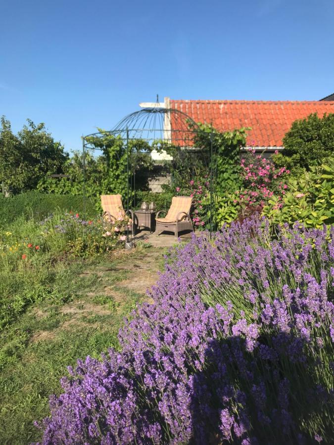 T Huuske Tuinappartement Met Fantastisch Uitzicht, Nabij Zee Zonnemaire Extérieur photo